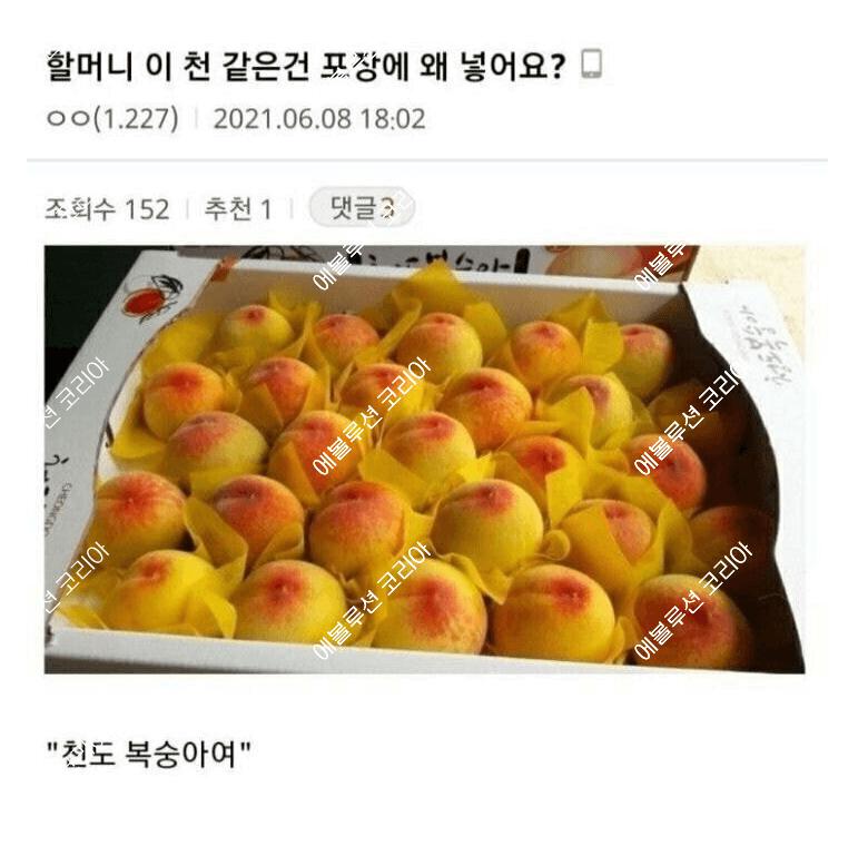 20250321200754_f2bf04b89f8313e52b18432373155b6b_plan