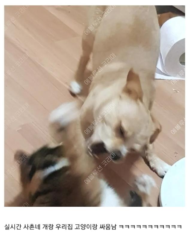 20250322155937_5f022dcf36f78f8c8d54b904777d4cc7_oolm