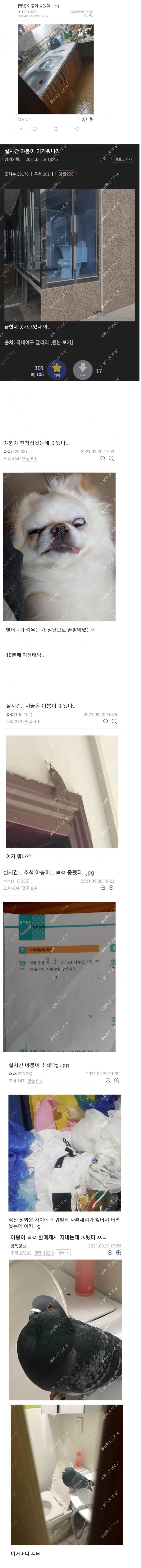 20250327183855_3dfa5338a8104fc02da4f7da67aa4dd0_c7pi