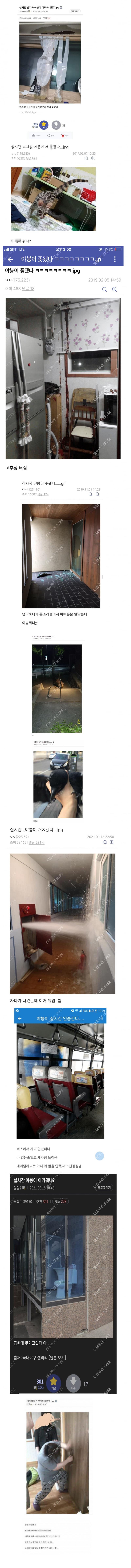 20250327184227_3dfa5338a8104fc02da4f7da67aa4dd0_xsyq