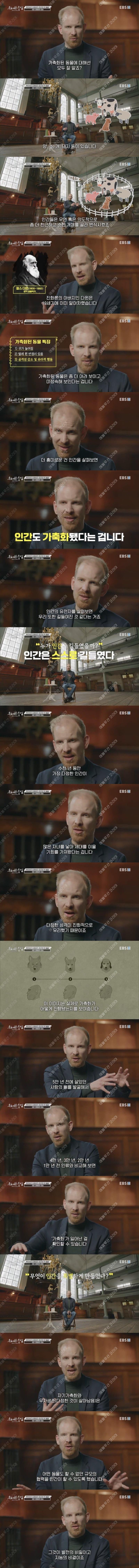 20250411203545_ea94caaa42495564397f81d8718222ec_ncqm